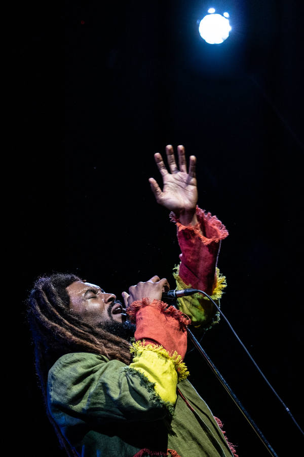 Photos: First Look at the Cast of GET UP, STAND UP! THE BOB MARLEY MUSICAL Image