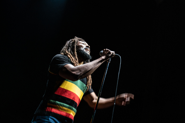 Photos: First Look at the Cast of GET UP, STAND UP! THE BOB MARLEY MUSICAL Image