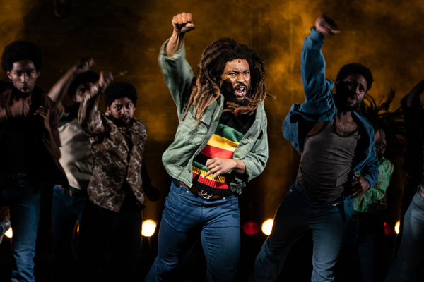 Photos: First Look at the Cast of GET UP, STAND UP! THE BOB MARLEY MUSICAL Image