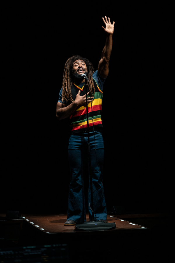 Photos: First Look at the Cast of GET UP, STAND UP! THE BOB MARLEY MUSICAL Image