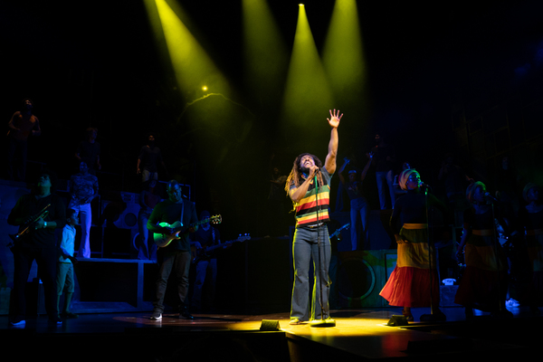 Photos: First Look at the Cast of GET UP, STAND UP! THE BOB MARLEY MUSICAL Image
