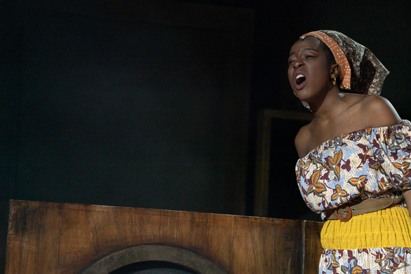 Photos: First Look at the Cast of GET UP, STAND UP! THE BOB MARLEY MUSICAL Image