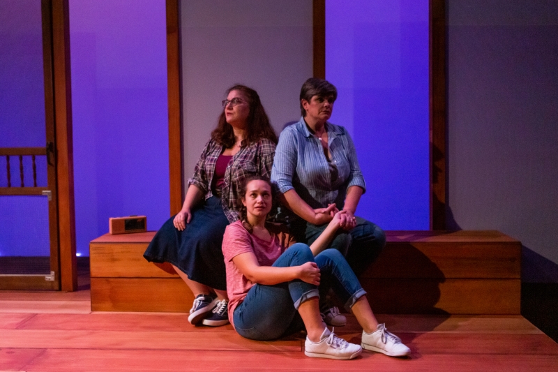 Review: WHAT WE WERE at Pony World Theatre Image