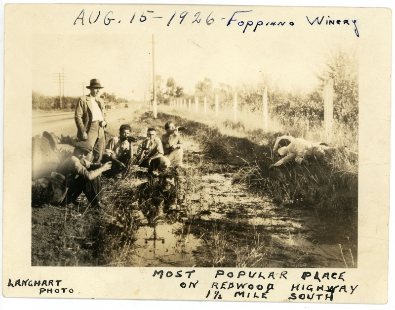 FOPPIANO VINEYARDS Celebrates 125 Years of Wine Production in the Russian River Valley of California  Image