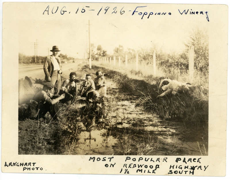 FOPPIANO VINEYARDS Celebrates 125 Years of Wine Production in the Russian River Valley of California Image