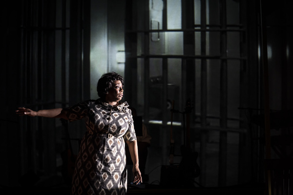 Photos: First Look at FANNIE at Goodman Theatre Image