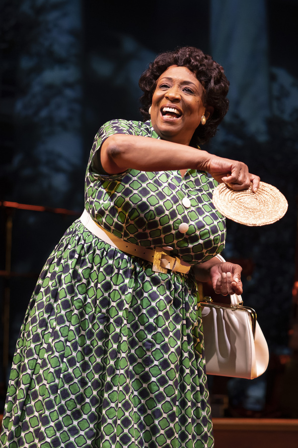 Photos: First Look at FANNIE at Goodman Theatre Image