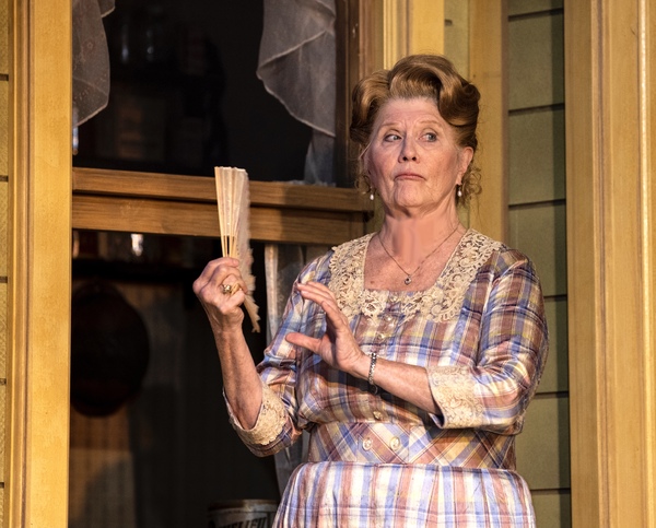 Photos: Lindsay Crouse, Alma Cuervo, Judith Ivey & More Star in  MORNING'S AT SEVEN Opening at Theatre at St. Clements 