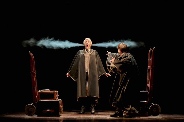 Harry Potter and the Cursed Child: Both Parts Image