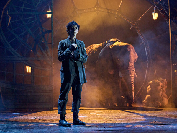 Photos: First Look at the Royal Shakespeare Company's THE MAGICIAN'S ELEPHANT Image
