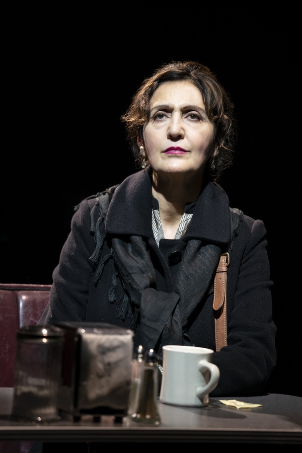 Photos: First Look at THE VISITOR at The Public Theater Image