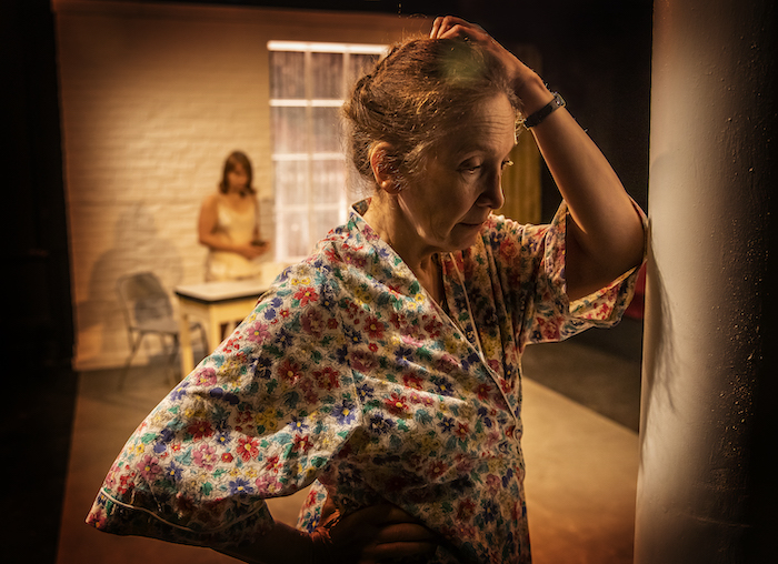 Guest Blog: Playwright Alana Valentine On THE SUGAR HOUSE Image
