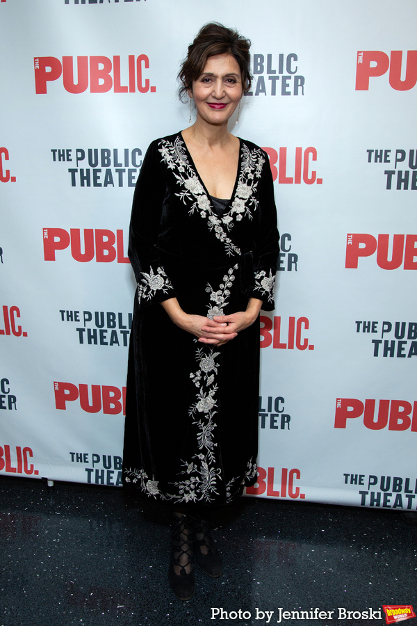 Photos: Go Inside Opening Night of THE VISITOR at the Public Theater Image