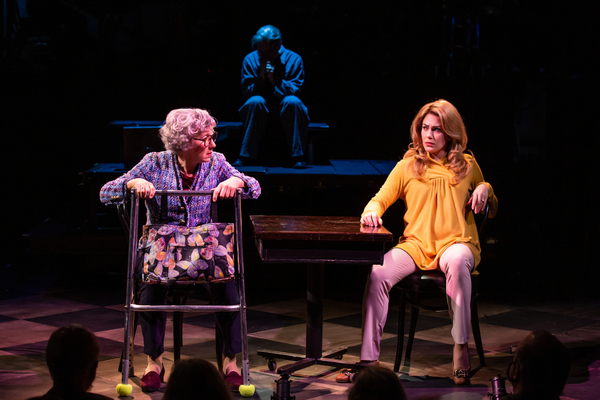 Photos: Theater 555 Presents A TURTLE ON A FENCE POST Image