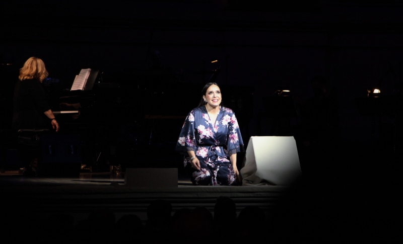 Review: Carnegie Hall Gets VOSK'd as Jessica Vosk Takes the Stage  Image