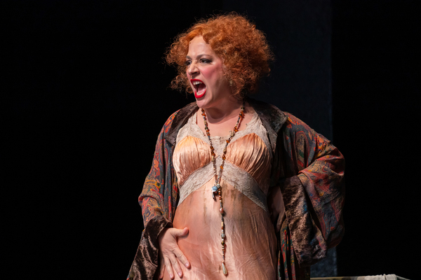 Photos: First Look at ANNIE At Children's Theatre Company Image