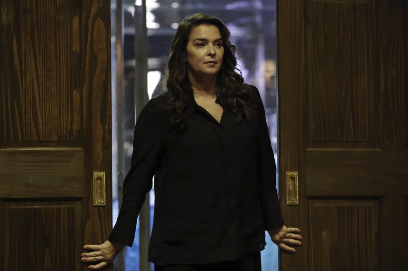 BWW Exclusive: Annabella Sciorra to Guest-Star on THE BLACKLIST 