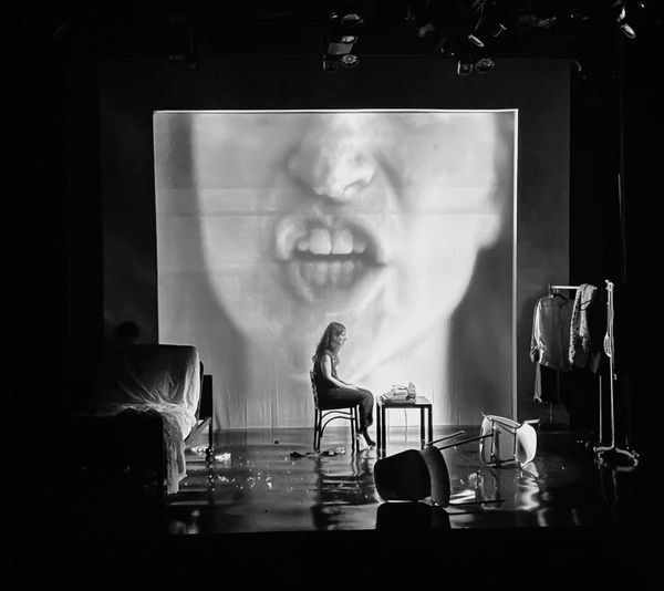 Review: 4.48 PSYCHOSIS at The Catastrophic Theatre Image