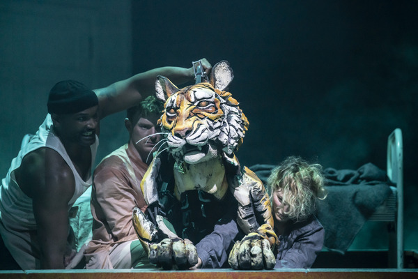 Photos: First Look at LIFE OF PI in the West End Image