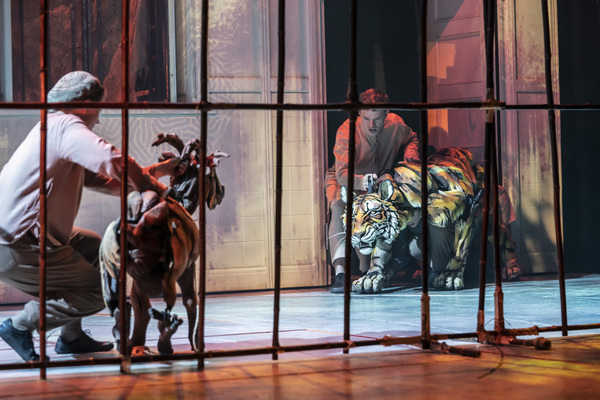 Photos: First Look at LIFE OF PI in the West End Image