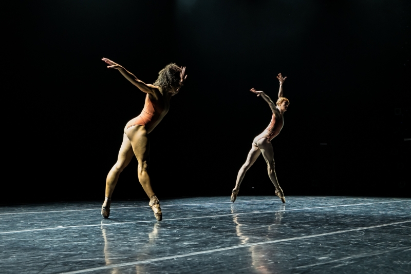 Review: COMPLEXIONS CONTEMPORARY BALLET: SNATCHED BACK FROM THE EDGES at The Joyce Theater 