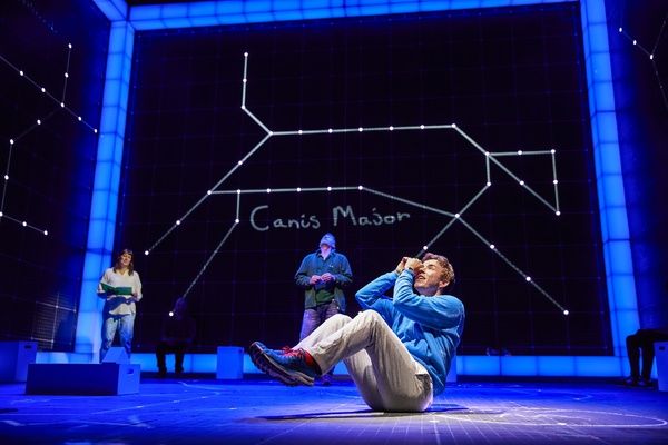 Photos: First Look at THE CURIOUS INCIDENT OF THE DOG IN THE NIGHT-TIME Image