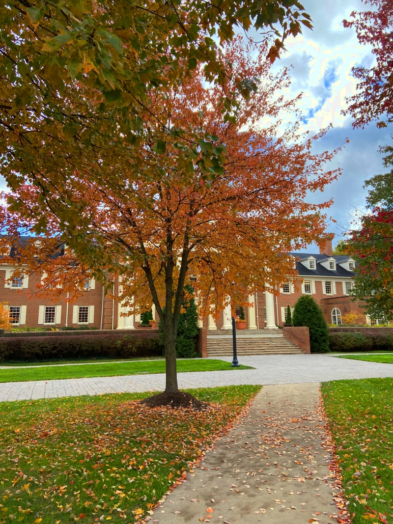 Student Blog: Baldwin Wallace University Students Do Sondheim Proud - Frosty's World #17 Image