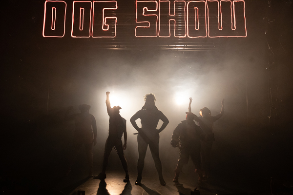 Photos: First Look at DOG SHOW at The Pleasance Image