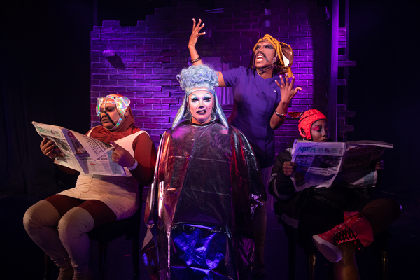 Photos: First Look at DOG SHOW at The Pleasance Image