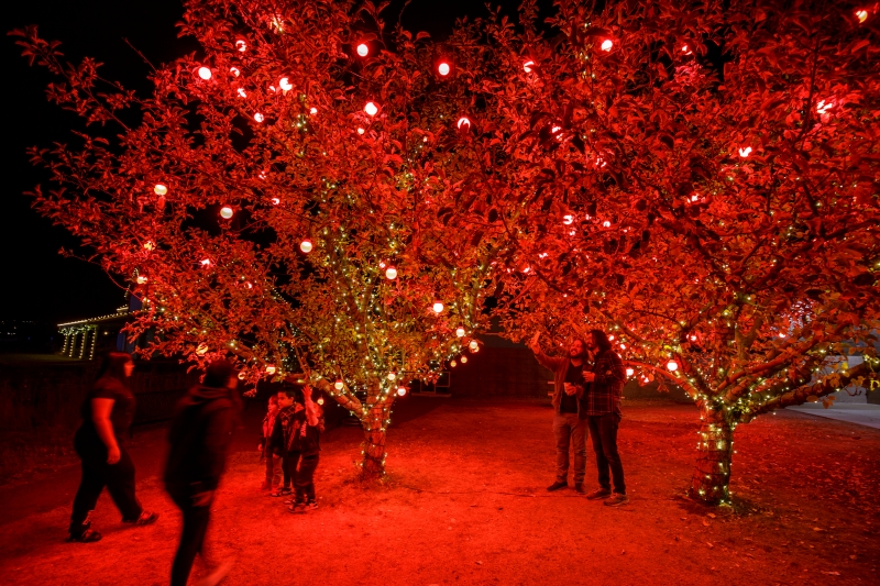 BWW Photo Feature: DCPA's Camp Christmas Returns Outdoors Image