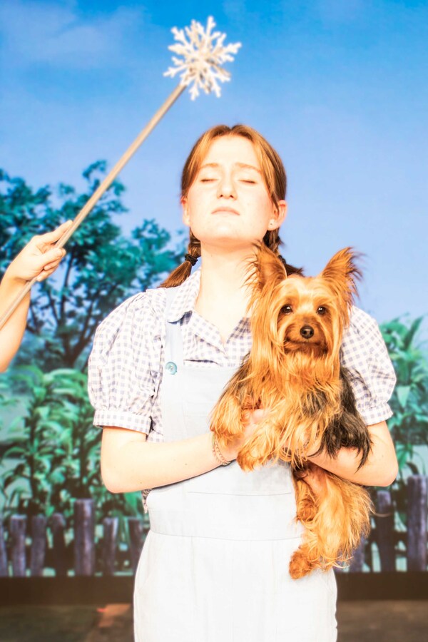 Photos: First Look at THE WIZARD OF OZ at Tacoma Little Theatre Image