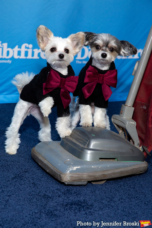 Photos: On the Opening Night Red Carpet for MRS. DOUBTFIRE Image