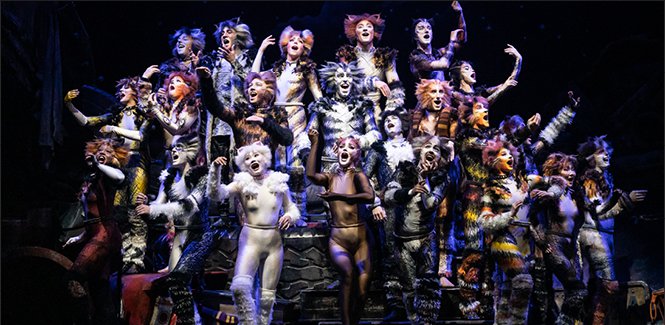 BWW Previews: CATS IS A 'PURR-FECT' SHOW FOR THE HOLIDAYS at Straz Center Image