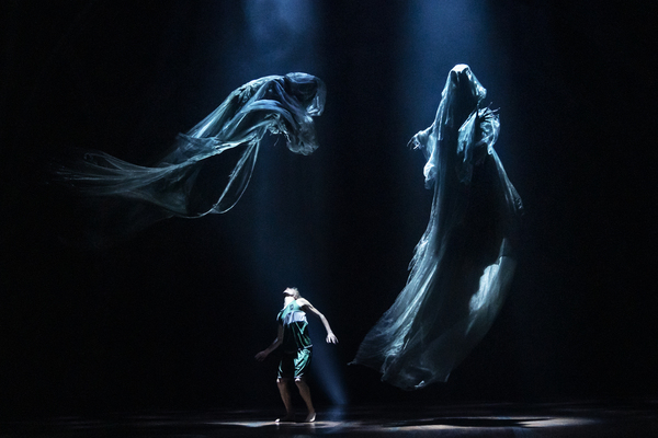 Photos: HARRY POTTER AND THE CURSED CHILD Reopens on Broadway Tonight! Image