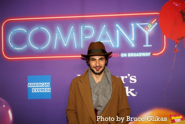 Photos: On the Red Carpet for COMPANY's Opening Night!  Image