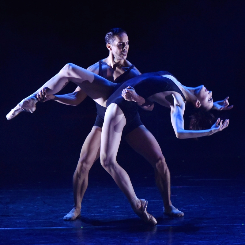 Review: The Luminous and Exhilarating Luminario Ballet  Presents HARD AS A ROCK at Avalon Hollywood Image
