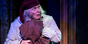 BWW Review: South Coast Rep's 41st Annual Production of A CHRISTMAS CAROL Remains Enchanti Photo