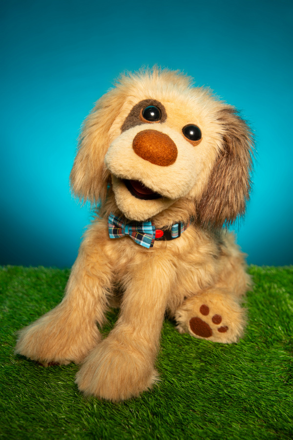 Photos: Meet The Dogs (and Cat) of RESCUE RUE, A New Musical Fairytale At DR2 Image