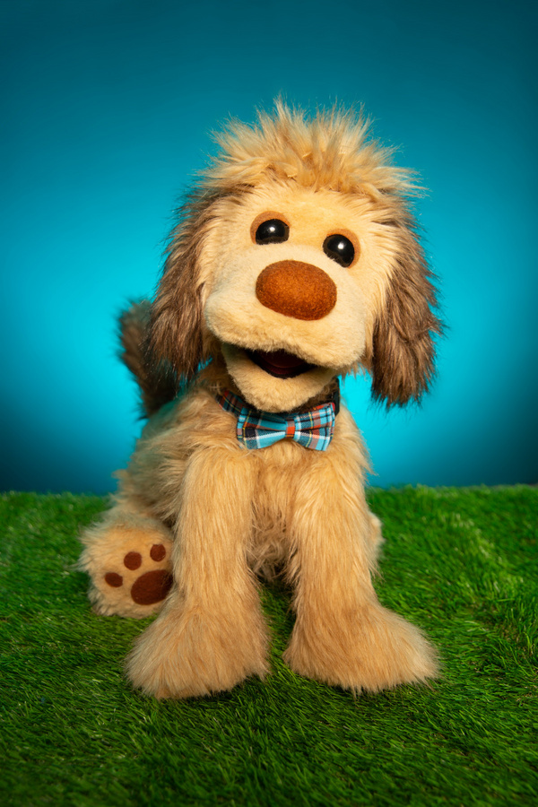 Photos: Meet The Dogs (and Cat) of RESCUE RUE, A New Musical Fairytale At DR2 Image