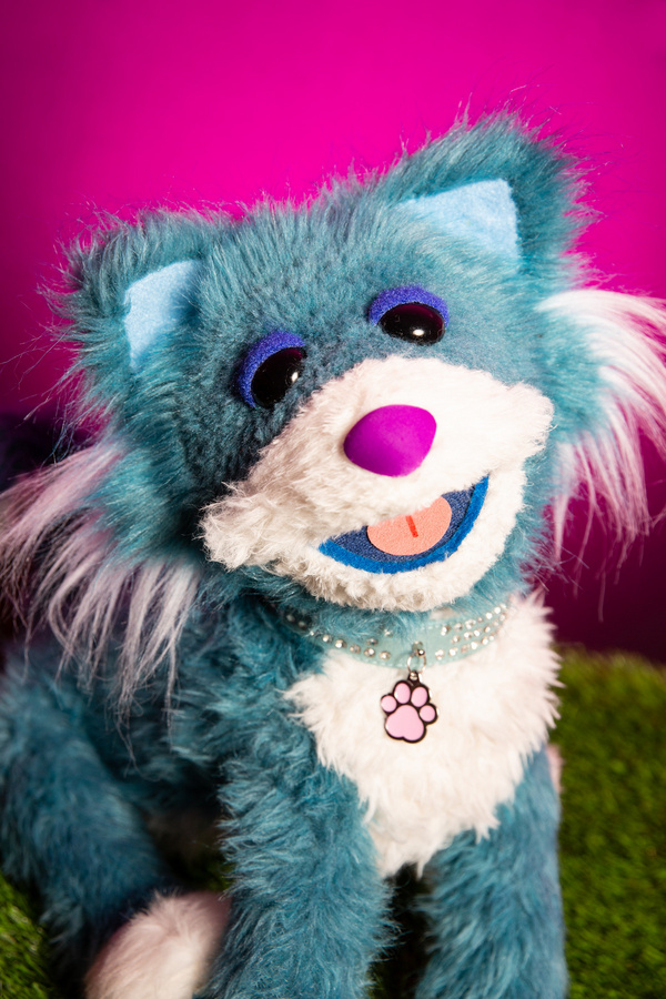 Photos: Meet The Dogs (and Cat) of RESCUE RUE, A New Musical Fairytale At DR2 Image