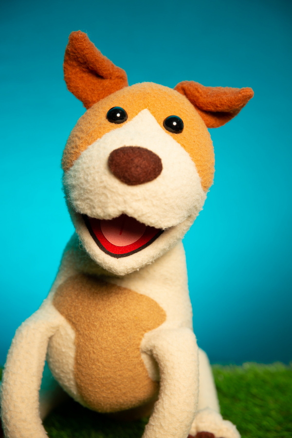 Photos: Meet The Dogs (and Cat) of RESCUE RUE, A New Musical Fairytale At DR2 Image