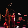 BWW Review: CIRCUS IN A TEACUP by Vulcana Circus Photo