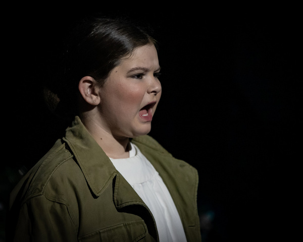Photos: First Look At VPCT's IT'S A WONDERFUL LIFE Image