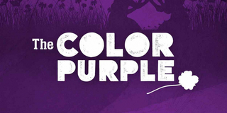 THE COLOR PURPLE Comes to Omaha Community Playhouse in March Photo