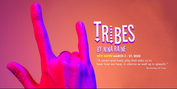 Road Less Traveled Productions' TRIBES Postponed to March Photo