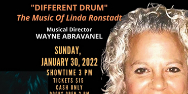 BWW Review: DIFFERENT DRUM: THE MUSIC OF LINDA RONSTADT at Arthur Newman Theater At The Jo Photo