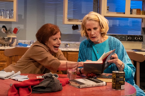 Photos: First Look at Vintage Theatre Productions' FIREFLIES Image