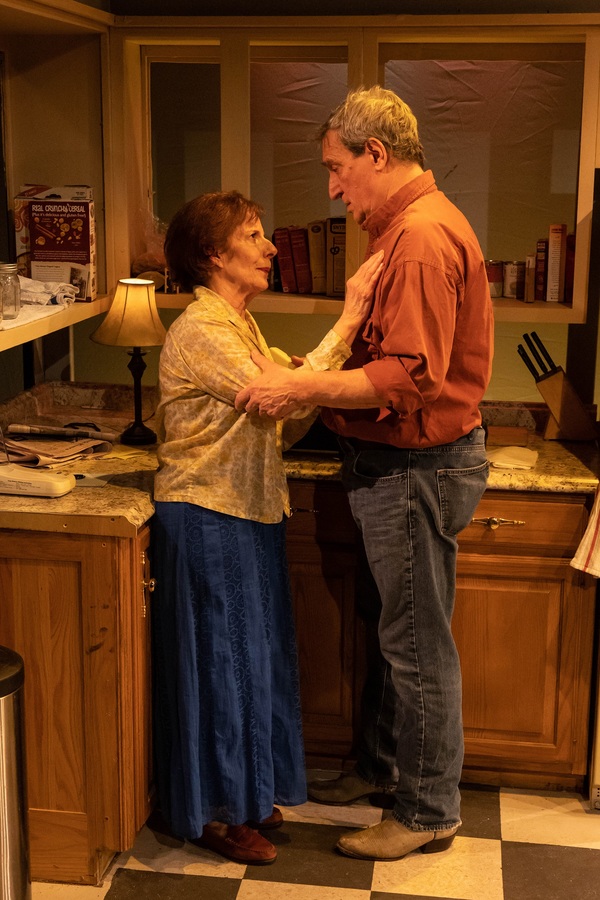 Photos: First Look at Vintage Theatre Productions' FIREFLIES Image