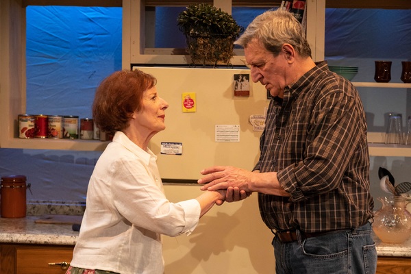 Photos: First Look at Vintage Theatre Productions' FIREFLIES Image