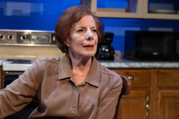 Photos: First Look at Vintage Theatre Productions' FIREFLIES Image